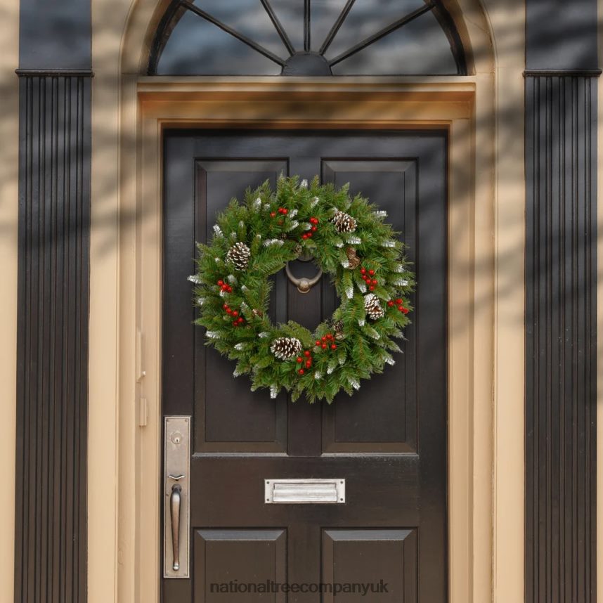 Greenery | National Tree Company 24in Frosted Berry Wreath F2L4F268